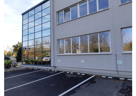 Biuro do wynajęcia - Gądów Mały, Fabryczna, Wrocław, 150 m², 7500 PLN, NET-26400111