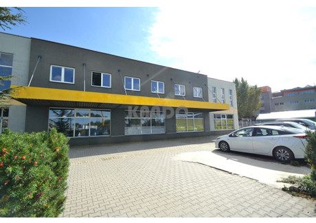 Magazyn do wynajęcia - Zakrzów, Psie Pole, Wrocław, 2000 m², 90 000 PLN, NET-27970111