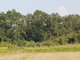 Rolny na sprzedaż - Czernica, Wrocławski, 9534 m², 572 040 PLN, NET-176220345