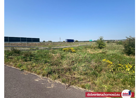 Działka na sprzedaż - Lisi Ogon, 8820 m², 1 320 000 PLN, NET-64155