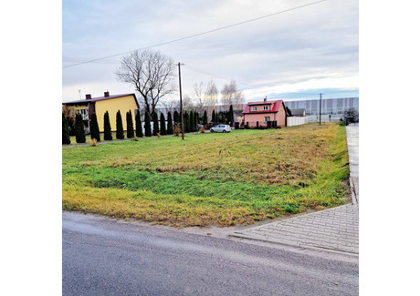 Działka na sprzedaż - Natolin, Grodzisk Mazowiecki, Grodziski, 4768 m², 1 900 000 PLN, NET-49020716