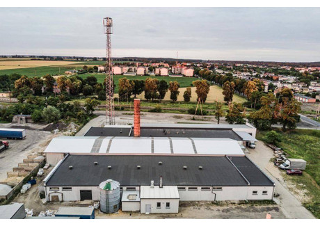Fabryka, zakład na sprzedaż - NA PRODUKCJĘ,MAGAZYN,BIURO. S11, BOCZNICA KOLEJOWA. Miłosław, Wrzesiński, 3240 m², 4 200 000 PLN, NET-365890362