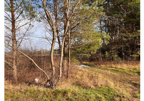 Działka na sprzedaż - Trakt Lubelski Żanęcin, Wiązowna, Otwocki, 3885 m², 549 000 PLN, NET-230/16245/OGS