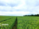 Rolny na sprzedaż - Morawica, Liszki, Krakowski, 19 900 m², 499 000 PLN, NET-DNX-GS-27033-1