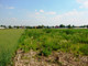 Rolny na sprzedaż - Kalisz, 6600 m², 390 000 PLN, NET-233
