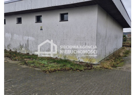 Magazyn na sprzedaż - Skorzewo, Kościerzyna, Kościerski, 250 m², 450 000 PLN, NET-DJ101757