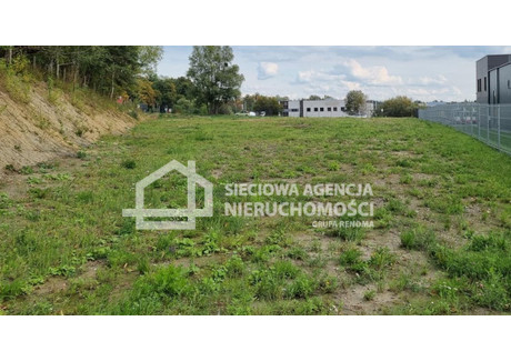 Działka do wynajęcia - Kokoszki, Gdańsk, 4000 m², 24 000 PLN, NET-DJ682489