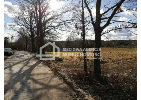 Działka na sprzedaż - Kłosowo, Przodkowo, Kartuski, 974 m², 185 000 PLN, NET-DJ181151