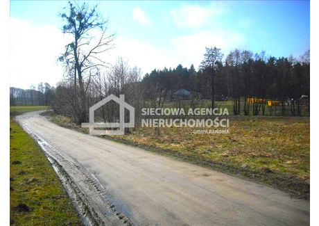 Działka na sprzedaż - Żuławka, Pruszcz Gdański, Gdański, 3104 m², 275 500 PLN, NET-DJ536415