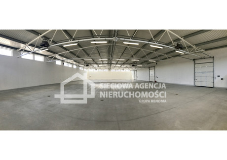 Magazyn do wynajęcia - Letnica, Gdańsk, 520 m², 18 200 PLN, NET-DJ119884