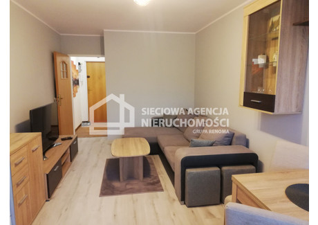 Mieszkanie do wynajęcia - Gospody Żabianka, Gdańsk, 29 m², 2100 PLN, NET-DJ509396