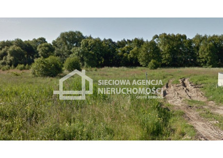 Działka na sprzedaż - Bolszewo, Wejherowo, Wejherowski, 5240 m², 250 000 PLN, NET-DJ165324