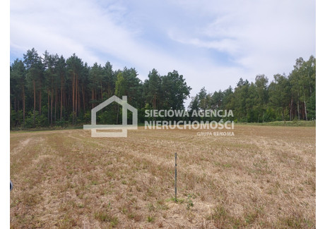 Działka na sprzedaż - Grabowo, Bobowo, Starogardzki, 3452 m², 125 000 PLN, NET-DJ981692