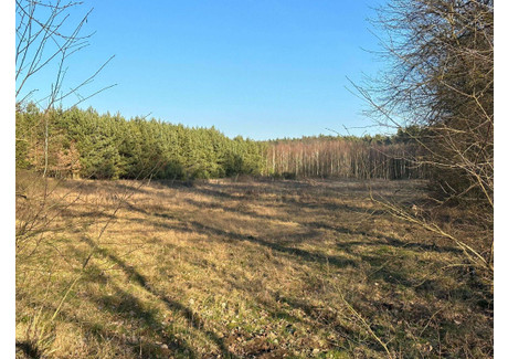 Działka na sprzedaż - Czeladź Mała, Jemielno (Gm.), Górowski (Pow.), 1373 m², 50 000 PLN, NET-88