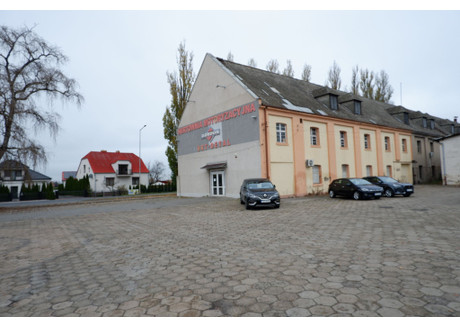 Magazyn do wynajęcia - Sarnowska Rawicz, Rawicz (gm.), Rawicki (pow.), 341 m², 5500 PLN, NET-87