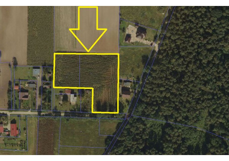 Działka na sprzedaż - Kępa, Ślesin (gm.), Koniński (pow.), 8000 m², 320 000 PLN, NET-4295