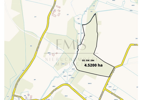 Działka na sprzedaż - Rąb, Przodkowo (gm.), Kartuski (pow.), 45 200 m², 990 000 PLN, NET-53