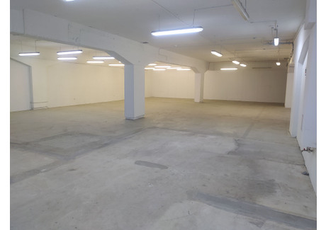 Magazyn, hala do wynajęcia - Kopanina Górczyn, Poznań, 299 m², 10 120 PLN, NET-80-1