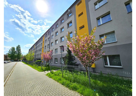 Mieszkanie do wynajęcia - Załęska Brynów, Katowice, Katowice M., 33 m², 1350 PLN, NET-GOR-MW-1485