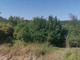 Leśne na sprzedaż - Dębno, Ożarów (Gm.), Opatowski (Pow.), 20 500 m², 49 000 PLN, NET-01Mar