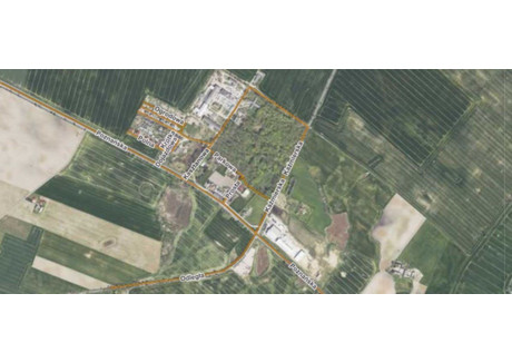 Działka na sprzedaż - Kaźmierska Młodasko, Kaźmierz, Szamotulski, 20 000 m², 5 200 000 PLN, NET-161250183