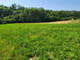 Rolny na sprzedaż - Chorowice, Krakowski, 3711 m², 820 000 PLN, NET-GS-12282-1