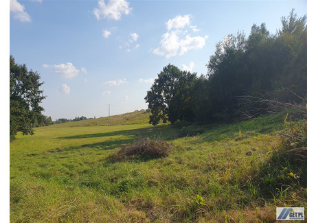 Działka na sprzedaż - Narama, Szczodrkowice, Krakowski, 3757 m², 320 000 PLN, NET-GS-13041-3