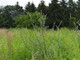 Rolny na sprzedaż - Cianowice, Krakowski, 1050 m², 165 000 PLN, NET-GS-12425-2