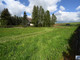 Rolny na sprzedaż - Trzciana, Bocheński, 2600 m², 165 000 PLN, NET-GS-12957-2