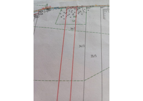 Działka na sprzedaż - Paprotnia, Teresin, Sochaczewski, 10 100 m², 3 000 000 PLN, NET-17968/3470/OGS