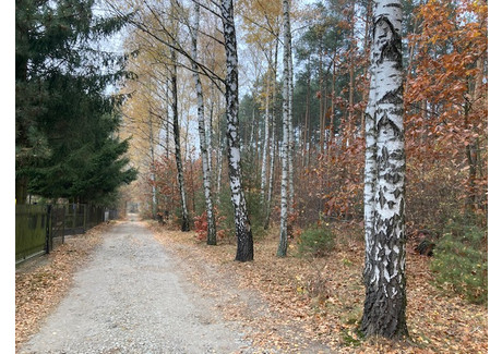 Działka na sprzedaż - Piękne Miejsce - działka przy lesie Swędów, Stryków (Gm.), Zgierski (Pow.), 1360 m², 165 000 PLN, NET-18676455