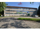 Komercyjne na sprzedaż - Pomorska Morąg, Ostródzki, 298,36 m², 590 000 PLN, NET-EXP-LS-8732