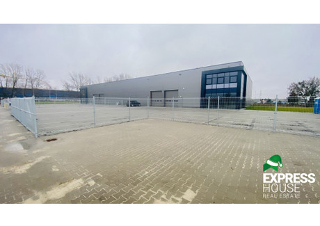 Magazyn, hala do wynajęcia - Śrem, Śremski, 975 m², 21 900 PLN, NET-205/4158/OHW