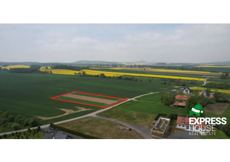 Działka na sprzedaż - Pielgrzymka, Złotoryjski, 4400 m², 310 000 PLN, NET-1016/4158/OGS