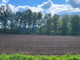 Rolny na sprzedaż - Kalinowa Drogomyśl, Strumień, Cieszyński, 6546 m², 390 000 PLN, NET-830623