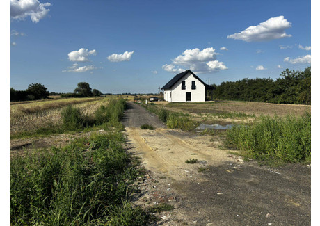 Działka na sprzedaż - Malbork, Malborski (Pow.), 1297 m², 125 000 PLN, NET-697