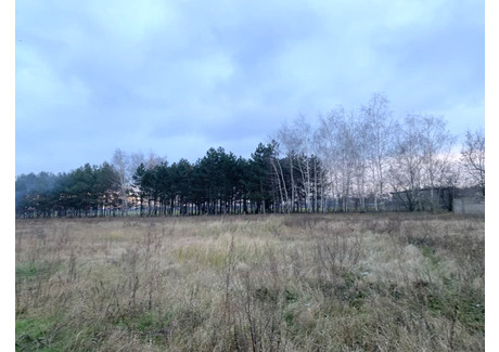 Działka na sprzedaż - Krwony, Brudzew (Gm.), Turecki (Pow.), 39 783 m², 249 000 PLN, NET-779