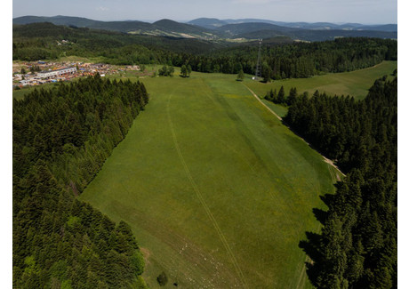 Działka na sprzedaż - Mochnaczka Wyżna, Krynica-Zdrój, Nowosądecki, 61 000 m², 1 600 000 PLN, NET-PNO444029