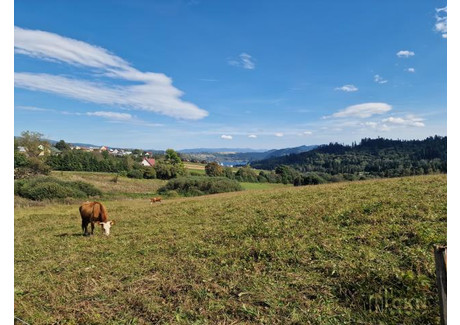 Działka na sprzedaż - Królowej Polski Falsztyn, Łapsze Niżne, Nowotarski, 6000 m², 1 200 000 PLN, NET-80621