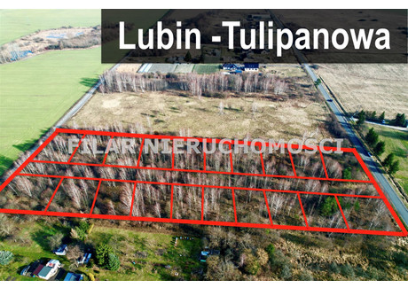 Działka na sprzedaż - Małomice, Lubin, Lubiński, 750 m², 142 500 PLN, NET-GS-6452