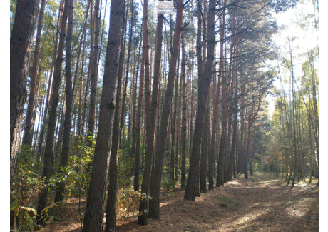 Działka na sprzedaż - Działka nr 260101_5.0014.145 1,54 ha Kawczyce, Busko-Zdrój (Gm.), Buski (Pow.), 15 400 m², 139 000 PLN, NET-4665