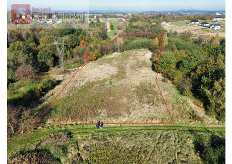 Działka na sprzedaż - Jurczyce, Skawina, Krakowski, 10 034 m², 245 000 PLN, NET-3798