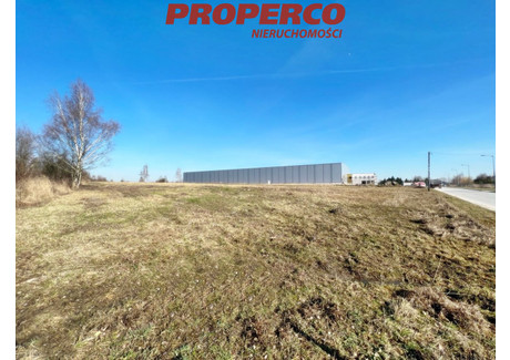 Działka na sprzedaż - Jędrzejów, Jędrzejowski, 13 016 m², 2 603 200 PLN, NET-PRP-GS-73066