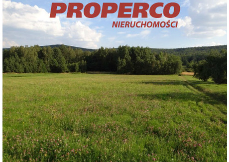 Działka na sprzedaż - Zagórze, Łączna, Skarżyski, 35 500 m², 235 000 PLN, NET-PRP-GS-66622