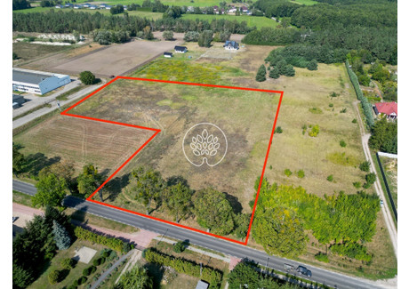 Komercyjne na sprzedaż - Chełmno, Chełmiński, 15 333 m², 1 257 306 PLN, NET-29/14150/OOS