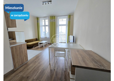 Mieszkanie do wynajęcia - Centrum, Bydgoszcz, 26 m², 1500 PLN, NET-1220/14150/OMW