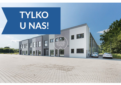 Obiekt do wynajęcia - Wałdowo, Pruszcz, Świecki, 2432,92 m², 30 000 PLN, NET-8/14150/OOW