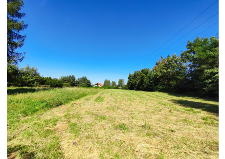 Działka na sprzedaż - Stacyjna Chełm Śląski, Chełm Śląski (gm.), Bieruńsko-Lędziński (pow.), 4479 m², 440 000 PLN, NET-11431742