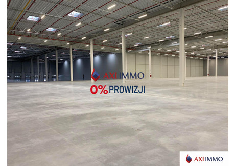 Magazyn do wynajęcia - Poznań, 7000 m², 25 200 Euro (109 116 PLN), NET-7656