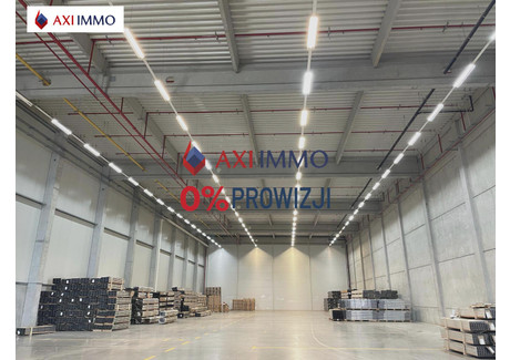 Magazyn do wynajęcia - Balice, Zabierzów, Krakowski, 1800 m², 37 800 PLN, NET-8754